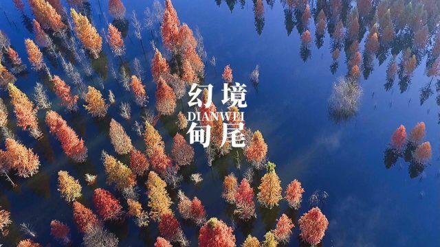 逃离月日森林