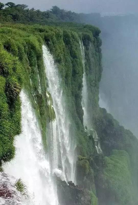 逃离森林湖畔