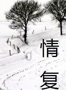 高级定制