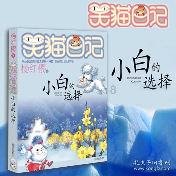 林红玉会见宋巧霞