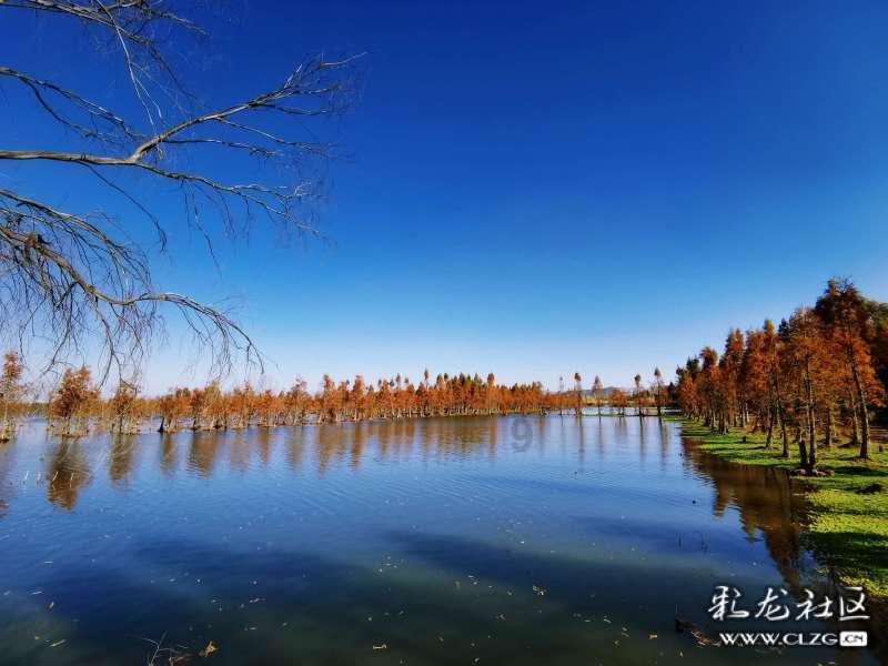 求英语大神帮忙分析，谢谢游戏画面