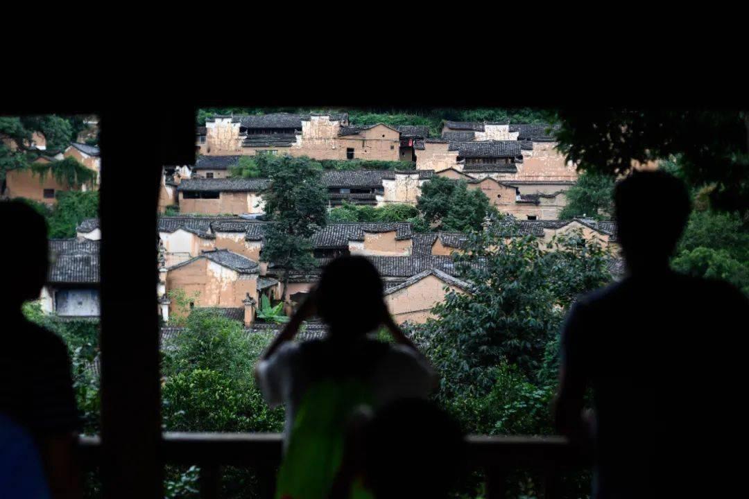 阿甘正传深度解析