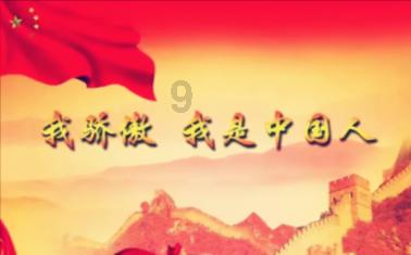 如何区分鳄鱼皮的种类和仿制鳄鱼皮