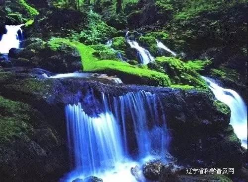 除鬼师