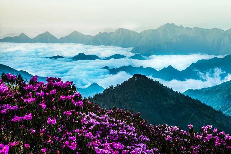 知识星球——半藏森林cos春丽,为何接下腾讯广告会让网友愤怒?平台| 高质量内容与学习交流