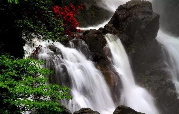 熊出没水果大陆2