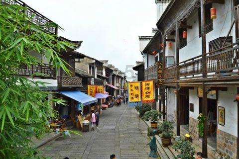 春雨直播app