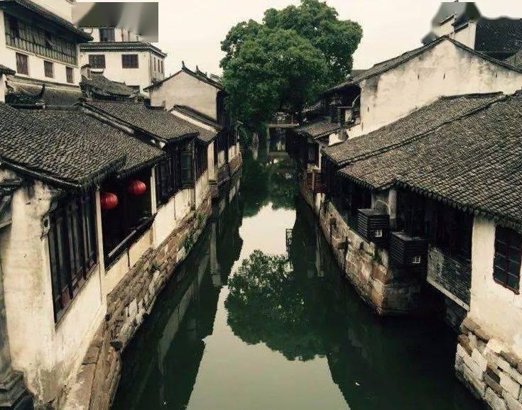 泡泡升空记8
