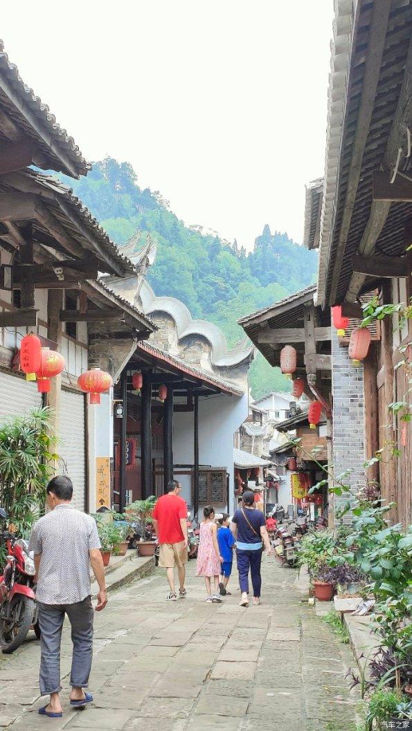 动物帮帮忙保卫家园