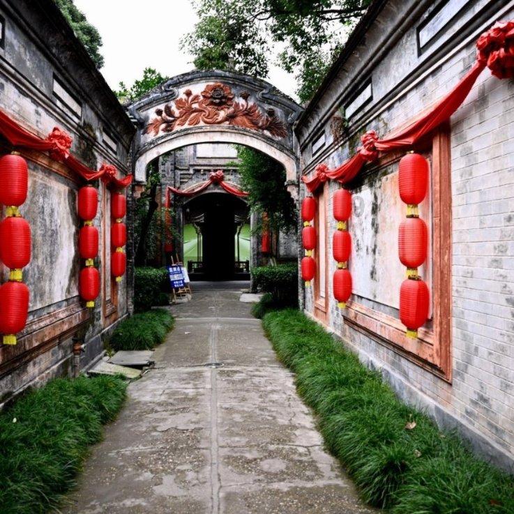 拿破仑：全面战争
