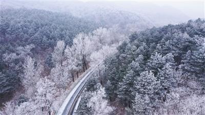 新春走基层|杭州这个重要交通项目，春节前迎重大节点！